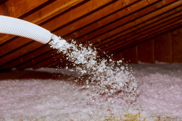Best Insulation for Specific Applications in Discovery Harbour, HI