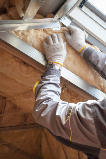 Best Residential Insulation in Discovery Harbour, HI